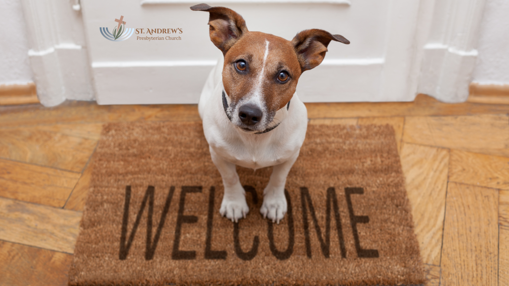 puppy on a welcome mat