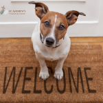 puppy on a welcome mat